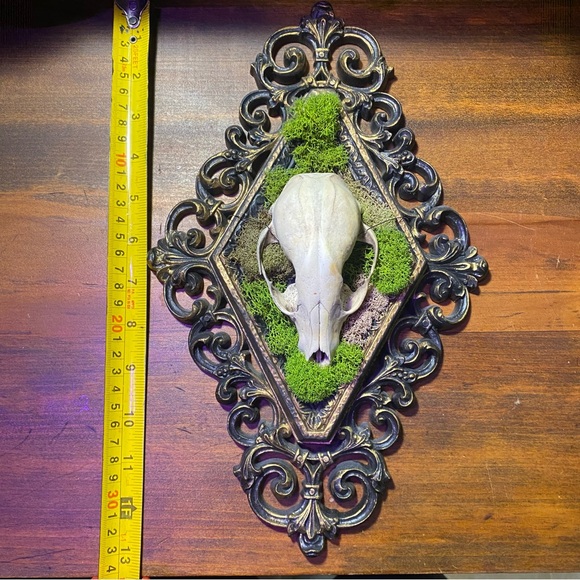 Raccoon Skull Moss Victorian Style Frame Decoration - Picture 11 of 13